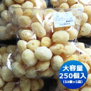 【送料無料】業務用天然海綿シルク サイズ5【約5cm】250個入り（50個×5袋）│業務用海綿 天然スポンジ 海綿スポンジ 海面スポンジ フェイス ボディ 洗顔 メイク サニタリー