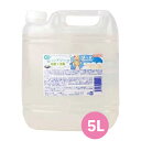 【ポイント5倍!4/30&5/1限定】【日本製】殺菌 消毒ハンドソープ 清々華 5L 業務用ハンドソープ 医薬部外品│手指消毒 無香料 おしゃれ かわいい 詰め...