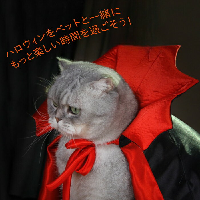 楽天 ペット 服 猫 マント ハロウィン ねこ...の紹介画像3