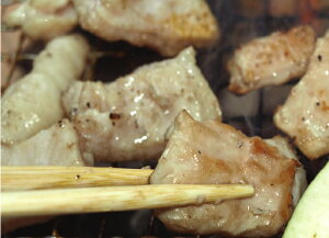 ★がつんと にんにく 味★ 焼肉 バーベキュー に♪サロベツファームの直腸塩 ホルモン 【 ギフト 】( 肉 肉加工品 豚肉 ホルモン ギフト プレゼント お土産 内祝い 出産祝い お返し 手土産 通販 楽天 )の画像