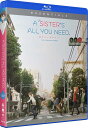 アニメ Blu-ray BOX 妹さえいればいい 全12話 SILVER LINK 完全収録 原作者平坂読 書下ろし 永久保存版 新人小説家羽島伊月主人公 ライ...
