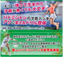 バドミントンコーディネーションDVD ~遊びながら上手くなる!センスを磨く77ドリル~【指導・解説:渡辺哲義(大阪、岐阜トリッキーパンダース代表)】シャトル ヨ...