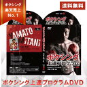 ボクシング上達プログラム〜テクニックで相手を倒す理論的練習法〜 ボクシンググローブ アメリカ キック 簡単 川島郭志 レガース キッズ 子供 8oz ミズノ ア...