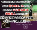 弓道上達革命〜初心者と指導者向け〜 DVD【天皇杯覇者　教士