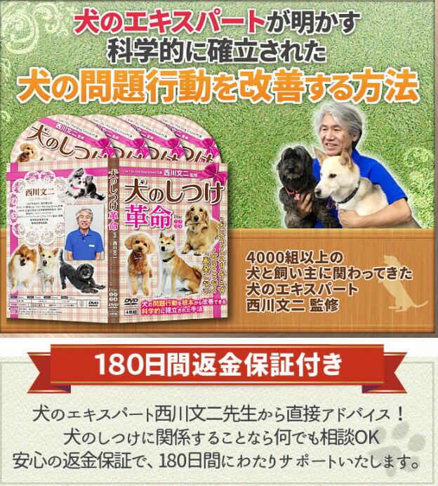 犬のしつけ革命～科学的に確立された犬の問題行動を改善する方法～DVD【犬のエキスパート 西川文二 指導】首輪 しつけ用 犬服 冬 1000円ポッキリ dogchoice セール 送料無料 ダウン 暖かい ベ…