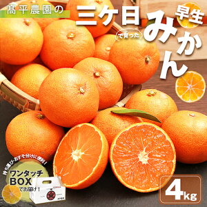 みかん 三ヶ日 4kg ミカン 4キロ mikan 高平農園 三ケ日 静岡 静岡産 静岡県 農家直送 産地直送 早生 青島 果物 フルーツ プレゼント お歳暮 ギフト お年賀 小玉 訳あり 自宅用 美味しい 家庭用 高糖度 大きい 甘い お取り寄せ グルメ スイーツ sサイズ 濃厚 完熟 手土産