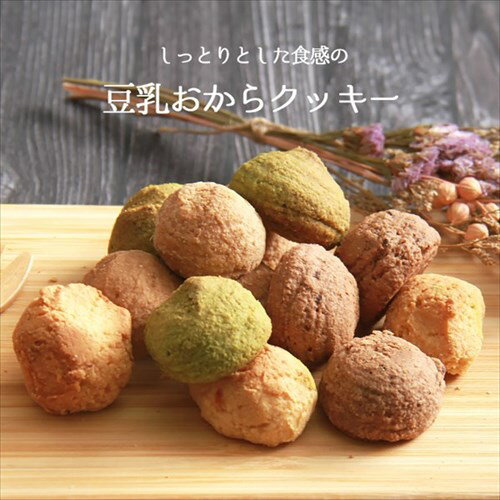 おから豆乳ソフトクッキー ソフトクッキー クッキー おから オレンジ シナモン チ...