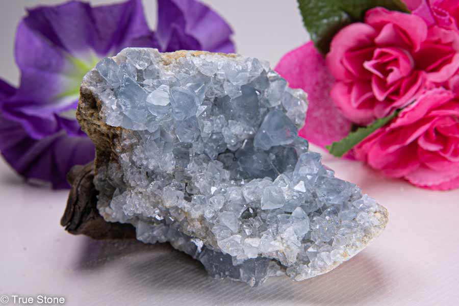 タロットクロス tarot 占い 神秘的 タペストリー おしゃれ 祭壇 撮影背景 正方形 グッズ アクセサリー 黒 黄色 緑 猫 向日葵 リース 白 花 植物 自然 円 模様 黄色い花 ベージュ 幾何学模様 アート 対称性 デザイン 星