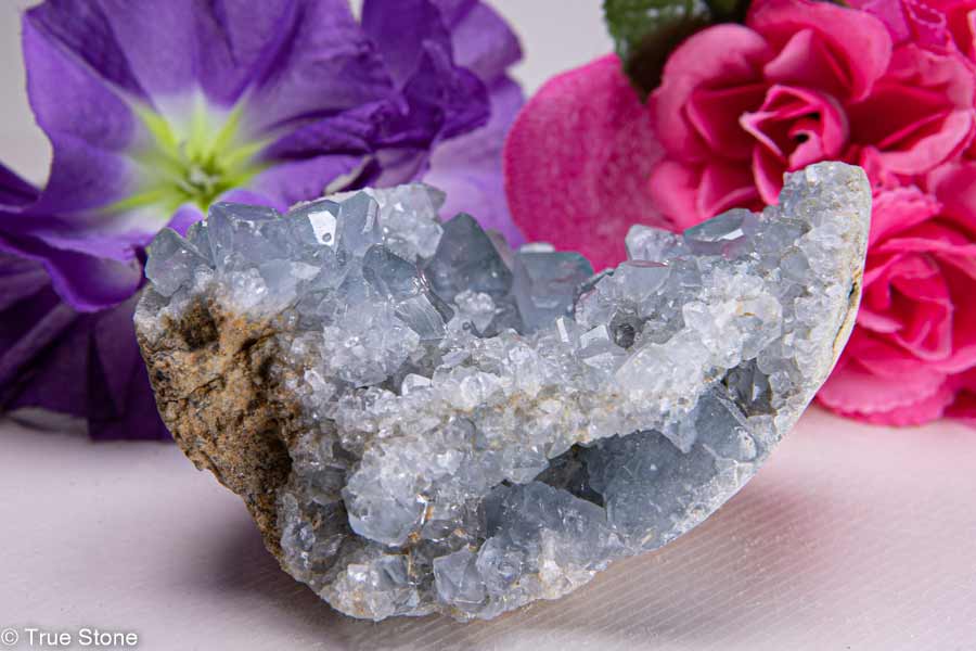 タロットクロス tarot 占い 神秘的 タペストリー おしゃれ 祭壇 撮影背景 正方形 グッズ アクセサリー 黒 黄色 緑 猫 向日葵 リース 白 花 植物 自然 円 模様 黄色い花 ベージュ 幾何学模様 アート 対称性 デザイン 星