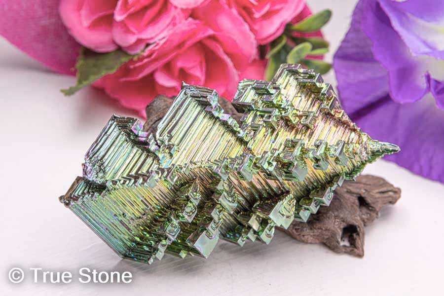 �ӥ��ޥ� �뾽 ŷ��ؤγ��� �����γ��� 164g �����׺� ��°�뾽