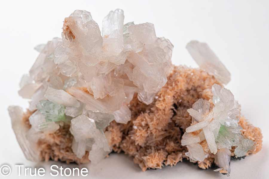 ���꡼�󥢥ݥե��饤�� ���ƥ���Х��� ����󥸥ҥ塼�������� ���饹���� ���� ���ݥե��饤�� �ѥ���ȡ��� ŷ���� ����