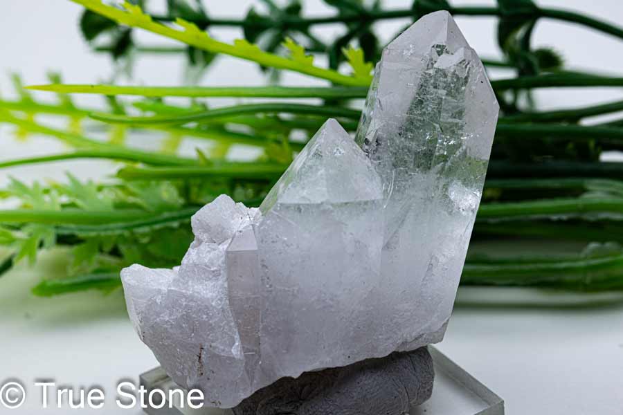 【浮彫】福招き 七福神 招財進寶 No.003 柘植大玉 ウッドビーズ 18mm 柘植 3.5mm穴【穴あり一粒売りビーズ】 / 天然石、パワーストーンの専門店インペリアルオーラ おしゃれ かわいい オシャレ 可愛い プレゼント ギフト 贈り物