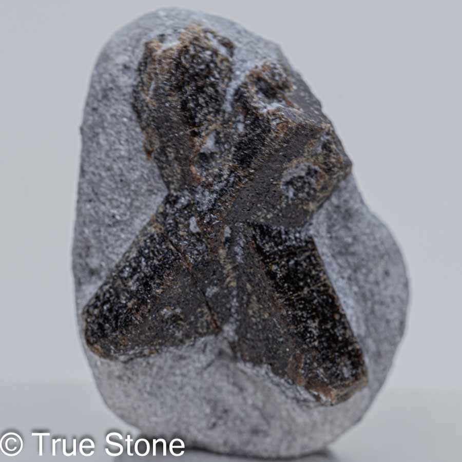 希少石 ロシア ムルマンスク州 コラ半島産 スタウロライト 十字石 十字架 キリスト エックス X