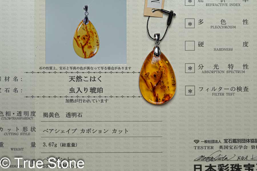 鑑別書付き バルティックアンバー 虫入り琥珀 ペンダントトップ アンバー 3.67g リトアニア産 化石 コハク シーアンバー 海琥珀
