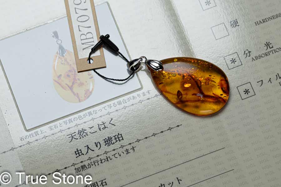 鑑別書付き バルティックアンバー 虫入り琥珀 ペンダントトップ アンバー 3.67g リトアニア産 化石 コハク シーアンバー 海琥珀