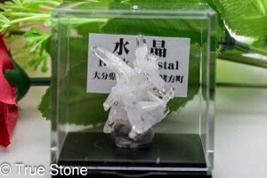 国産鉱物 かき揚げ水晶 クラスター 大分県豊後大野市緒方町 尾平鉱山 晶洞坑 桜水晶 トラピッチェクォーツ