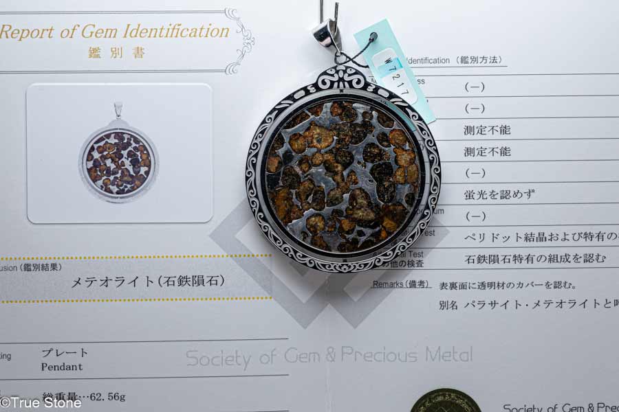 鑑別書付き AAA パラサイト隕石 回転 大型 ペンダントトップ 62.56g 石鉄隕石 メテオライト 隕石 ペリ..