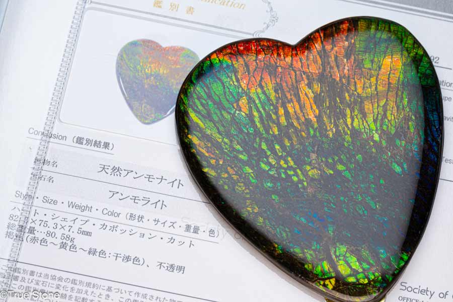 AAA 鑑別書付き 希少 アンモライト ルース カボション ブルー グリーン レ...