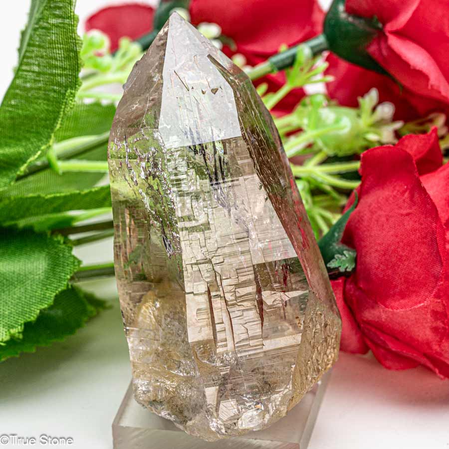 ネパール・ガネッシュヒマール産 ヒマラヤ水晶 高光沢ポイント（段丘状成長線・柱面変化）ガネーシュヒマール パワースポット