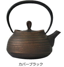 壱鋳堂 南部鉄器 急須 壱鋳堂・ティーポット刷毛目 Hakeme0.4L 工芸品 国産 日本製 伝統工芸 鉄製 ホーロー 手入れがラク 和食器 プレゼント 贈り物 贈物 かわいい おしゃれ