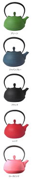 壱鋳堂 南部鉄器 急須 壱鋳堂・ティーポット刷毛目 Hakeme0.4L 工芸品 国産 日本製 伝統工芸 鉄製 ホーロー 手入れがラク 和食器 プレゼント 贈り物 贈物 かわいい おしゃれ