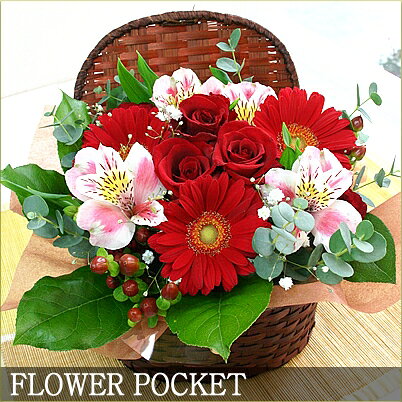 �ڥ���󥸥��ȡۥ˥塼��٥å���å�