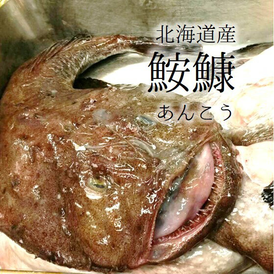 生鮟鱇 極上アンコウ 絶品！北海道産・青森県産 他 アンコウ鍋用 約3kg［豊洲直送］贈答 グルメ 鮮魚 あんこう鍋 冷蔵