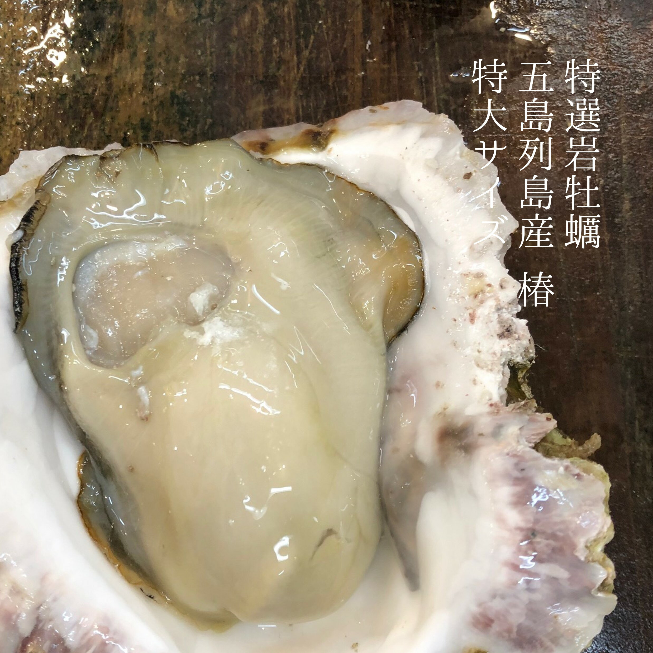 特大岩牡蠣 椿 長崎県五島列島（生食用殻付き） 計4個...