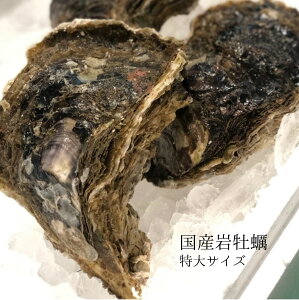 【国産岩ガキ】安全で美味しい濃厚な旨みが味わえる岩牡蠣のおすすめは？