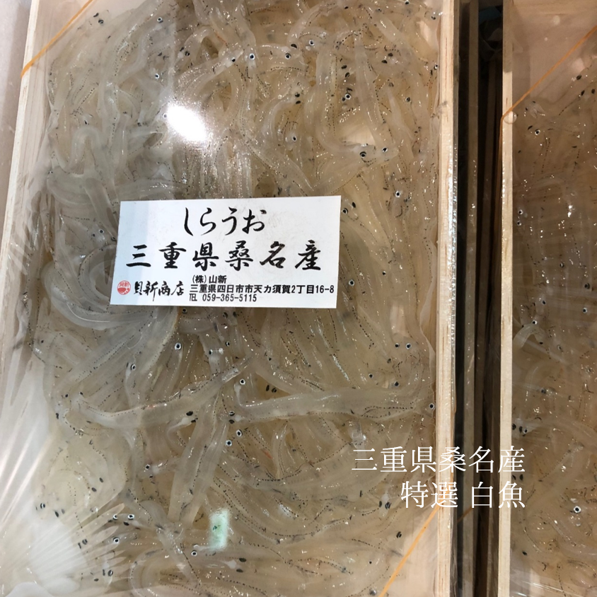 生 白魚 三重県 桑名産 200g（大）豊洲直送【桑名 白魚x1】冷蔵 しらうお シラウオのサムネイル