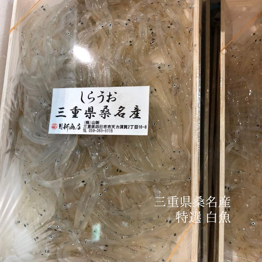 生 白魚 三重県 桑名産 200g（大）豊洲直送【桑名 白魚x1】冷蔵 しらうお シラウオ