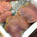 活ウチワエビ 愛媛・大分産 他 500g(1杯約100-200g)【団扇海老】豊洲直送 冷蔵