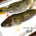 春から夏にかけてシーズンになるアイナメ！ 白身魚で淡泊な味わいの中に旨味があり、皮目は脂がのっております。刺身、塩焼き、幽庵焼きなど様々な方法でお楽しみ下さい。 ＊写真は2枚ですが、本商品は1尾分です。 内容量：1尾（約1キロ前後） 産地：岩手・北海道・青森 他（入荷した様々な産地から質の良いものを選り抜きます）　