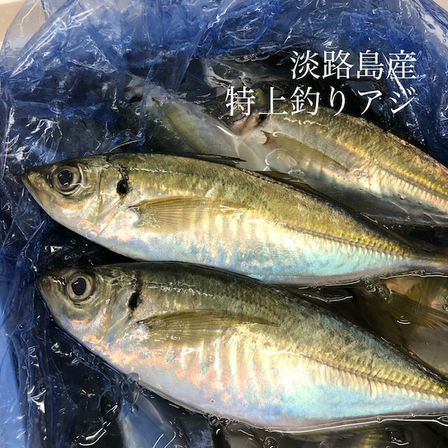 特上釣りアジ 淡路島産 1尾150-200gサイズ 計4尾 マアジ 鯵 豊洲直送冷蔵