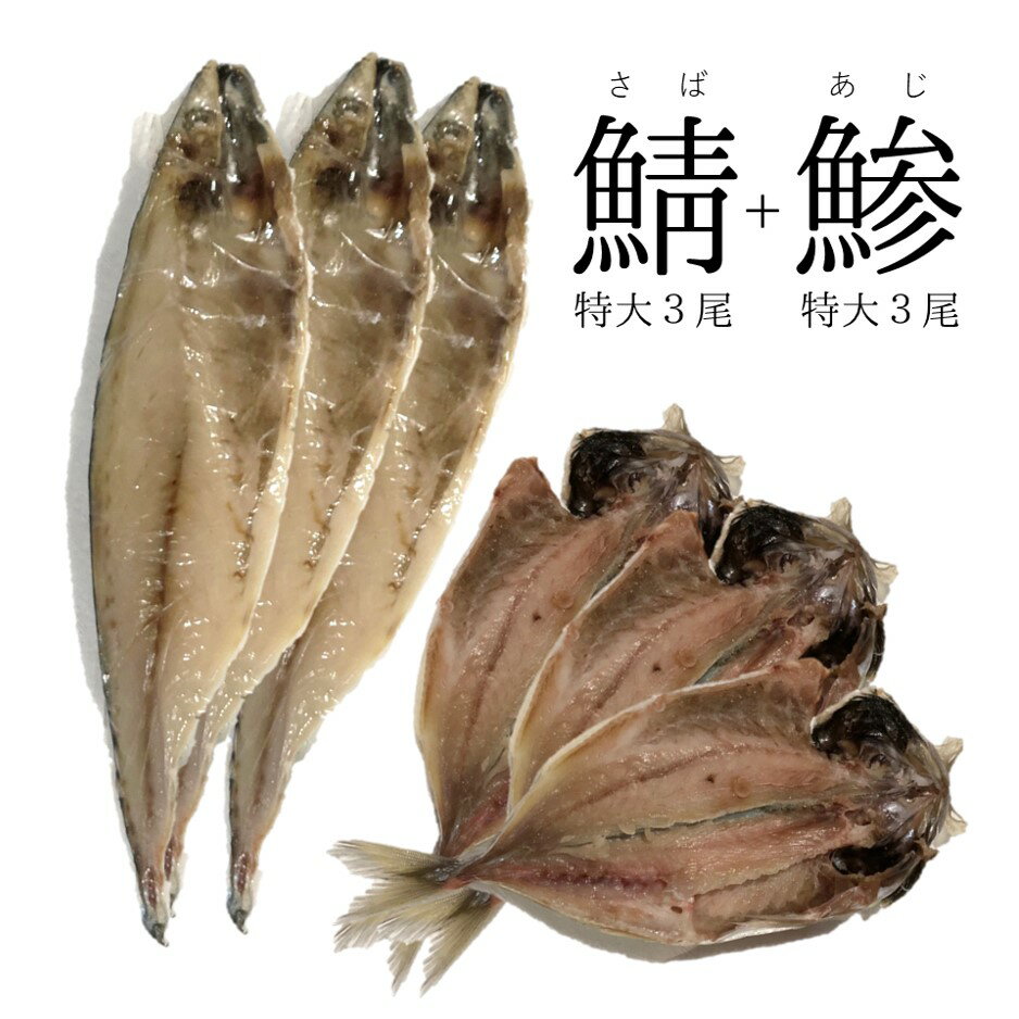 鯖と鯵の干物セット サバ 文化干し 鯵大サイズ干物 各3尾 計6尾 約1.2キロ分(1尾約200g)【鯖と鯵干物セット】冷凍 豊洲直送 お徳用