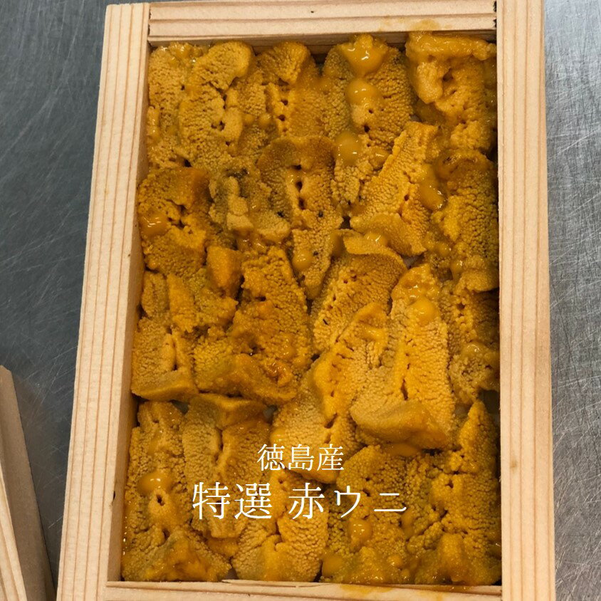 特選 赤ウニ 徳島県産 50g 赤雲丹【徳島産赤ウニ 】冷蔵 豊洲直送のサムネイル