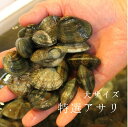 特選アサリ 国産（浜名湖・三重・愛知 他）1kg　豊洲直送 大サイズ あさり 浅利 冷蔵