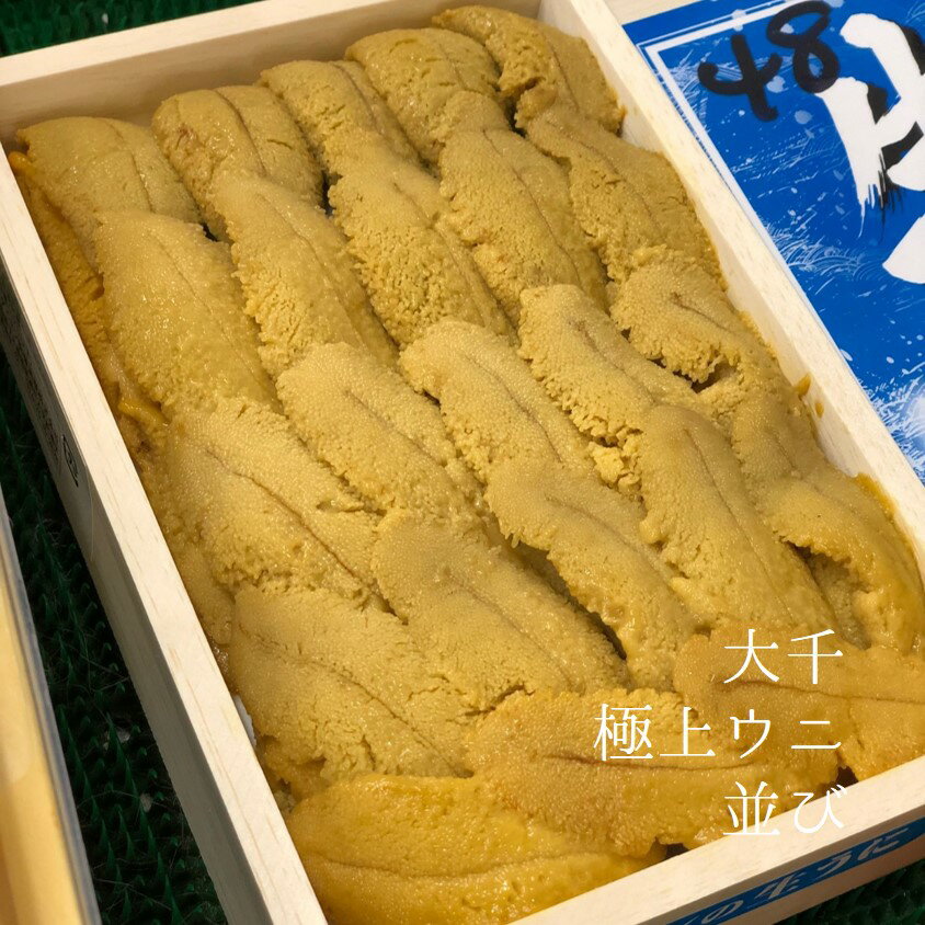 大千 極上 生ウニ 並び 250g 青森県大間産ムラサキウニ（白ウニ）【ダイセン雲丹並び250g】冷蔵 豊洲直送のサムネイル