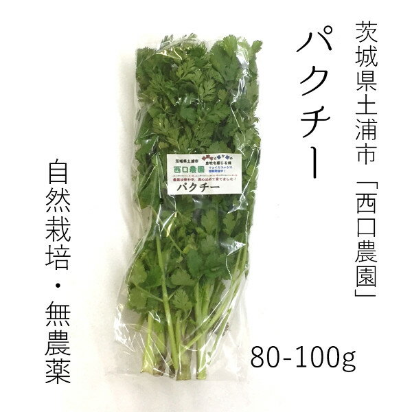 生パクチー 80-100g コリアンダー 国産 豊洲直送【パクチー80−100g】 冷蔵 食用ハーブ