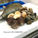 特選 春の貝類セット（5種：ハマグリ500g・アサリ500g...