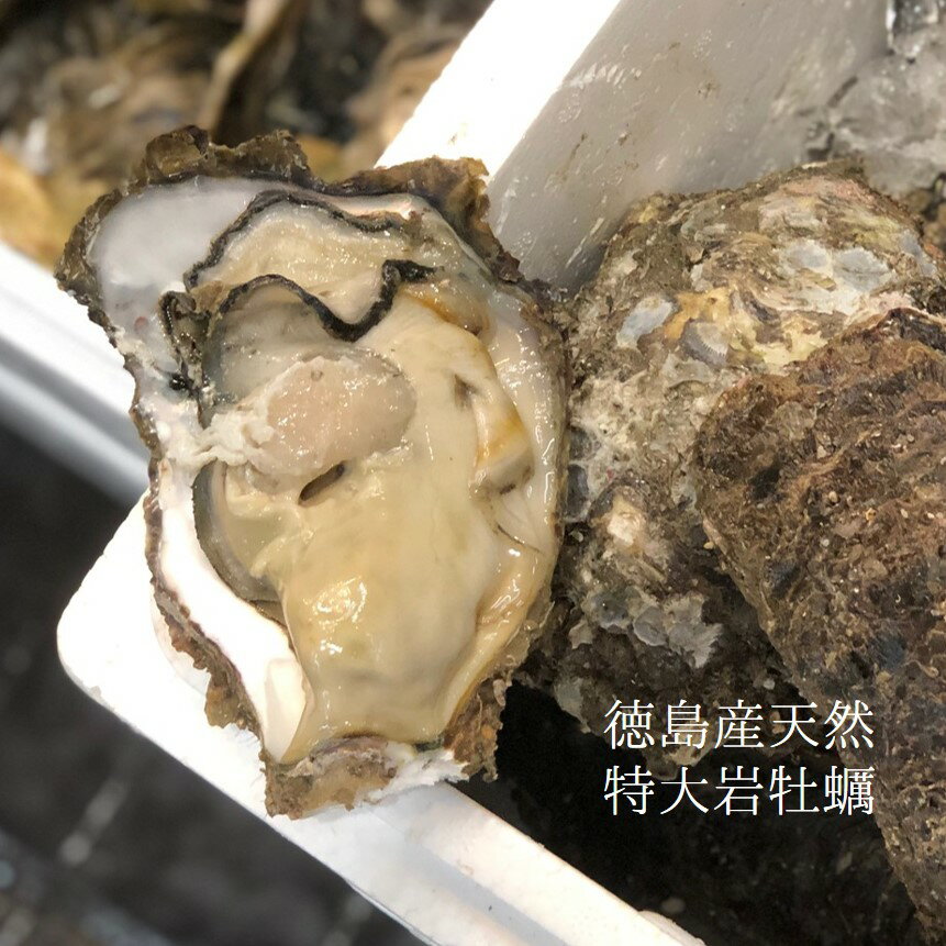 全国お取り寄せグルメ徳島水産物・水産加工品No.12