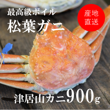 最高級特大ボイル松葉ガニ ズワイガニ 兵庫津居山カニ 約900g(1杯)［産地直送］贈答 年末年始 グルメ 送料無料 鮮魚 カニ ズワイ蟹 送料無料 お歳暮