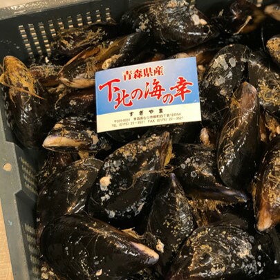 ムール貝 大サイズ（1個約50-100g）青森県産 他 3キロ【ムール3K（大）】冷蔵