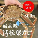 活松葉ガニ 最高級ズワイガニ 生 大サイズ 兵庫津居山カニ 800g(1杯)［産地直送］贈答 年末年始 グルメ 送料無料 鮮魚 カニ ズワイ蟹 送料無料 お歳暮