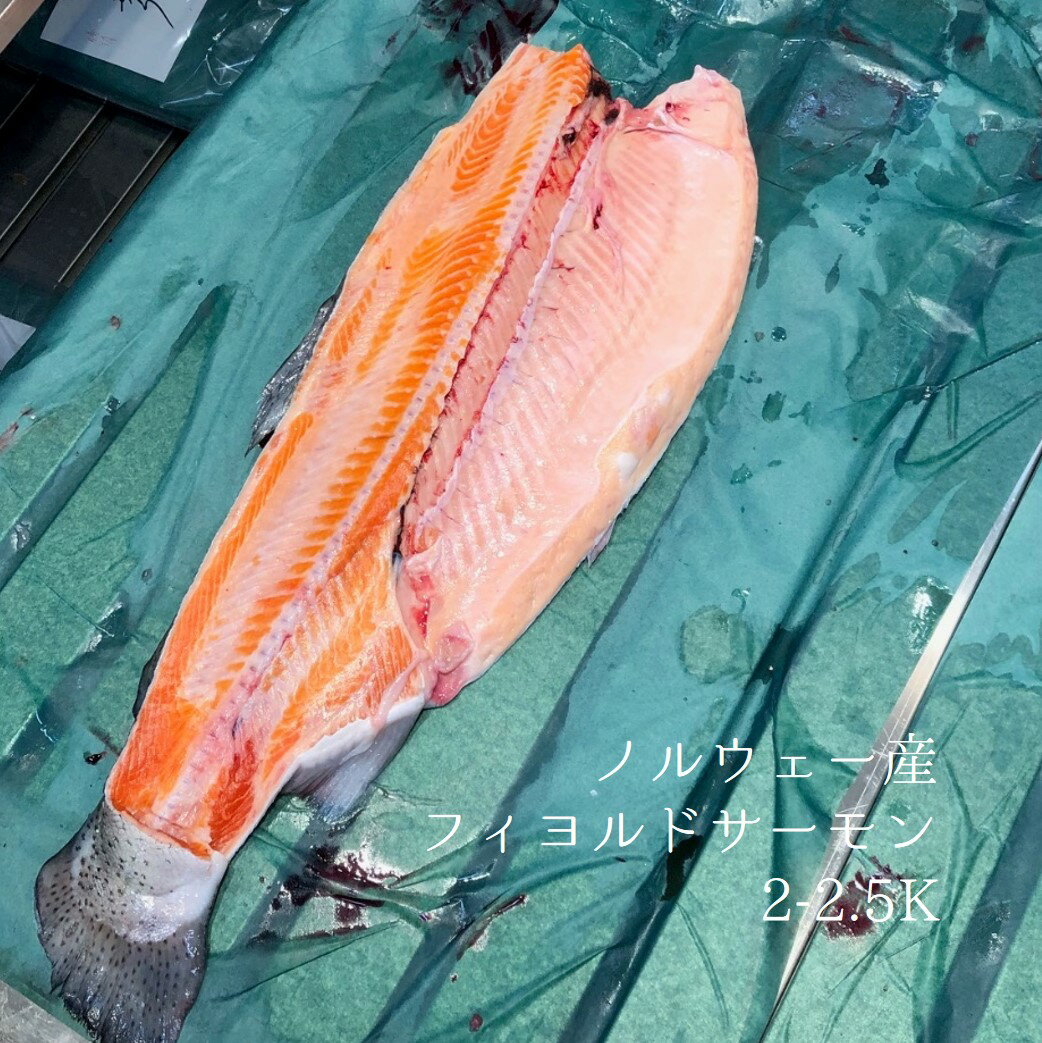 生フィヨルドサーモン半身 1.7-2kg(魚体4-5キロサイズの半身)ノルウェー産【フィヨルド半身】冷蔵 豊洲直送