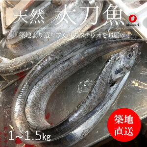 生 天然 太刀魚 タチウオ 丸一本 和歌山/九州産 他 豊洲直送 1-1.5kg【太刀魚1−1．5K】 冷蔵