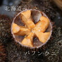 バフンウニ 北海道浜中産 5個 生ウニ 鮮魚【バフンウニ...