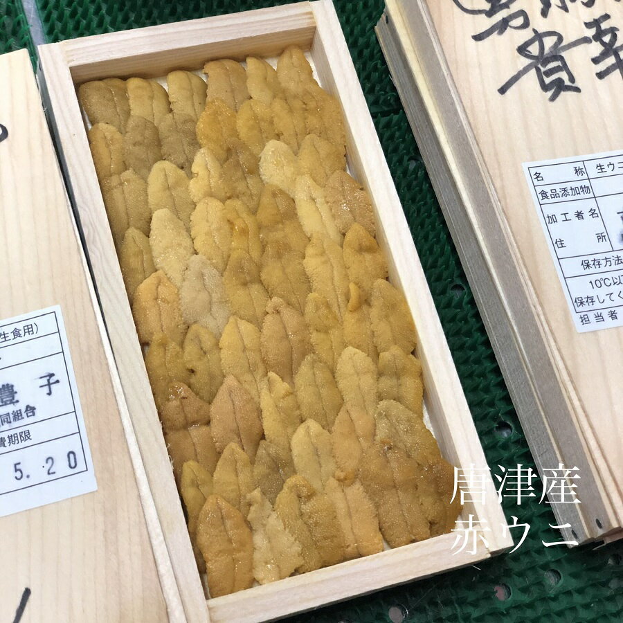 唐津 特上 赤ウニ 50g 豊洲直送 冷蔵