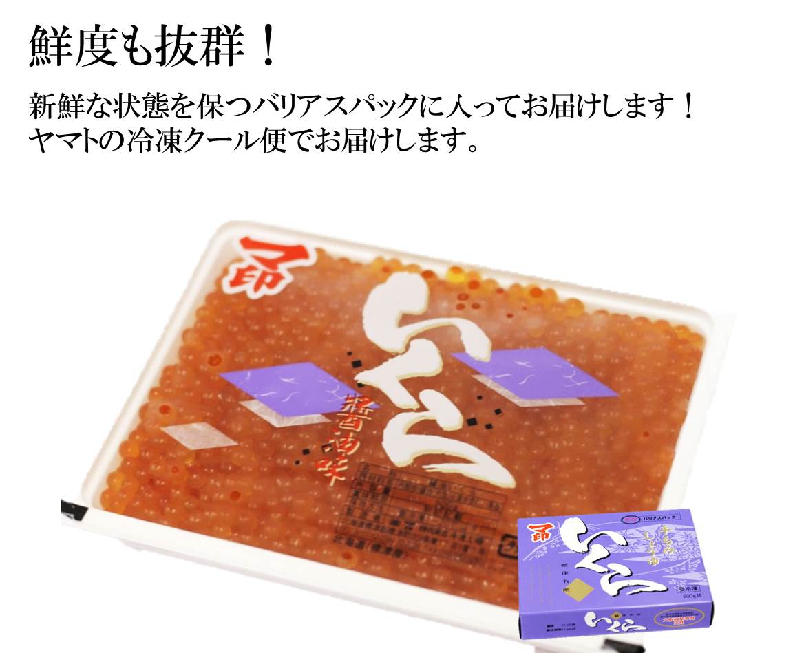 マ印の醤油いくら 500g 豊洲直送 ギフト いくら イクラ 醤油漬け 高級珍味 贈答用 御歳暮 お中元【マ印醤油漬けイクラ500g】 冷凍