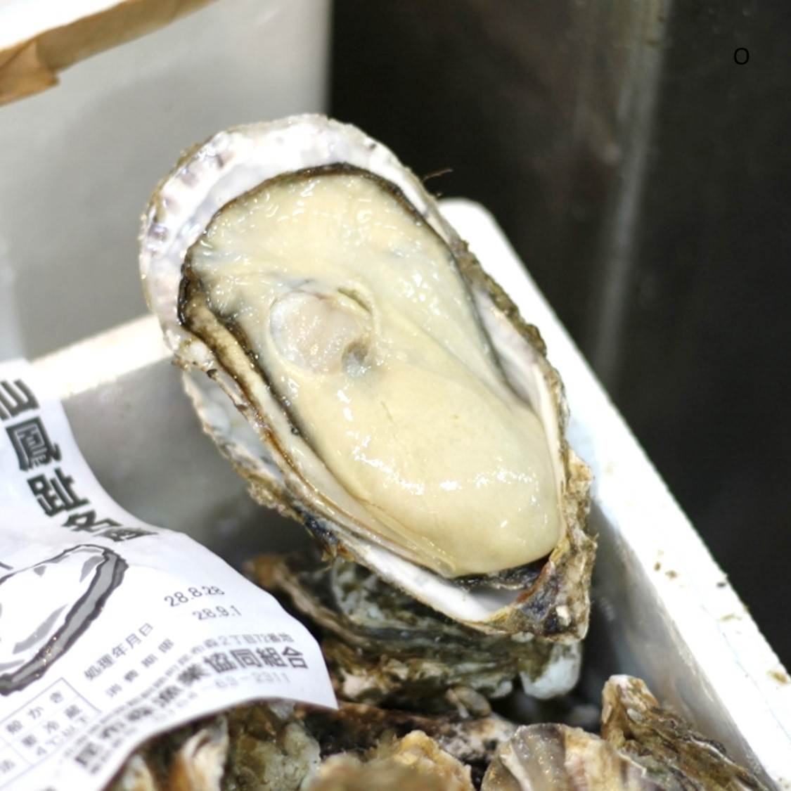 仙鳳趾産 殻付き牡蠣 生食用 大サイズ10個（約190g/個）豊洲直送 北海道産 カキ かき【仙鳳趾牡蠣190gx10個】 冷蔵